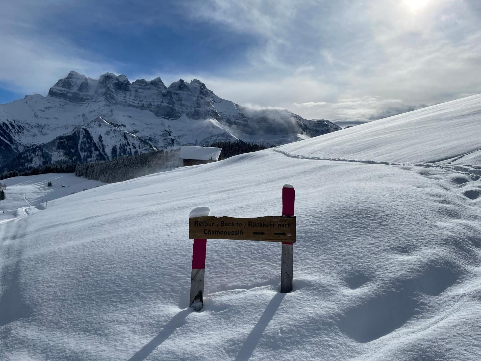 Chalet Montriond - Bike & Ski Les Crosets Ngoại thất bức ảnh