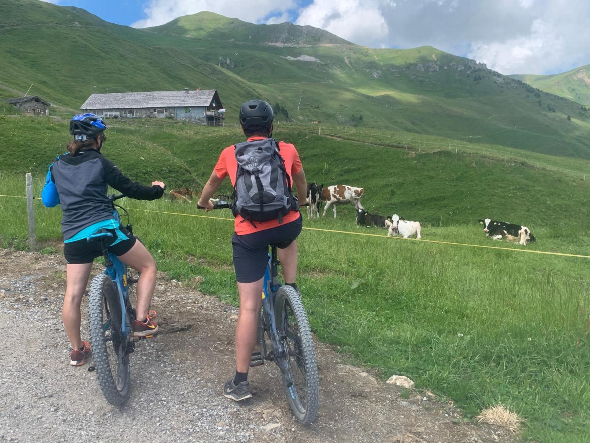 Chalet Montriond - Bike & Ski Les Crosets Ngoại thất bức ảnh